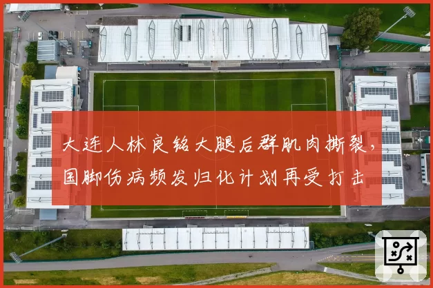 大连人林良铭大腿后群肌肉撕裂,国脚伤病频发归化计划再受打击